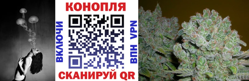 Купить наркотики сайты Купино Конопля  Кокаин  ГАШ  МЕТАМФЕТАМИН  Меф мяу мяу  СОЛЬ 