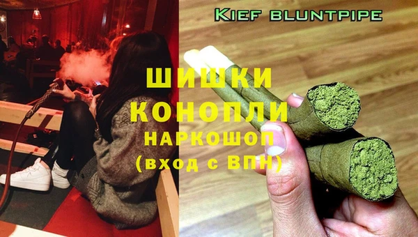 PSILOCYBIN Апатиты