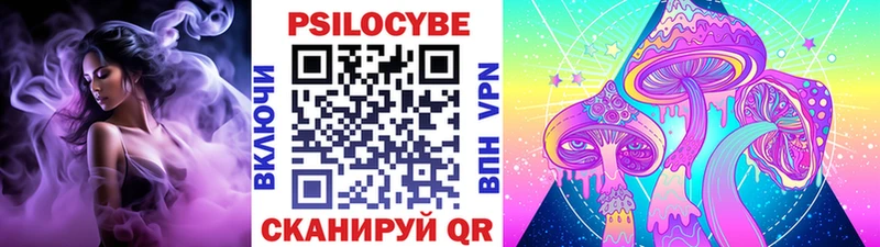 Псилоцибиновые грибы GOLDEN TEACHER  даркнет сайт  Купино 